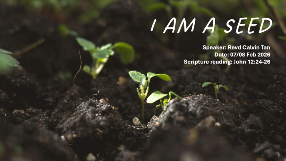 I Am A Seed Image