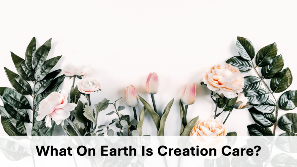 What On Earth Is Creation Care? Image